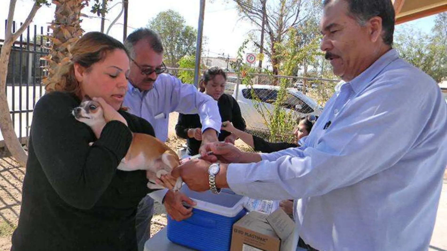 VACUNACION ANTIRRABICA